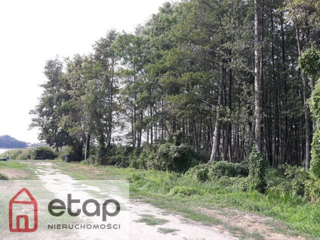 Działka budowlana Zborowo. Zdjęcie 10