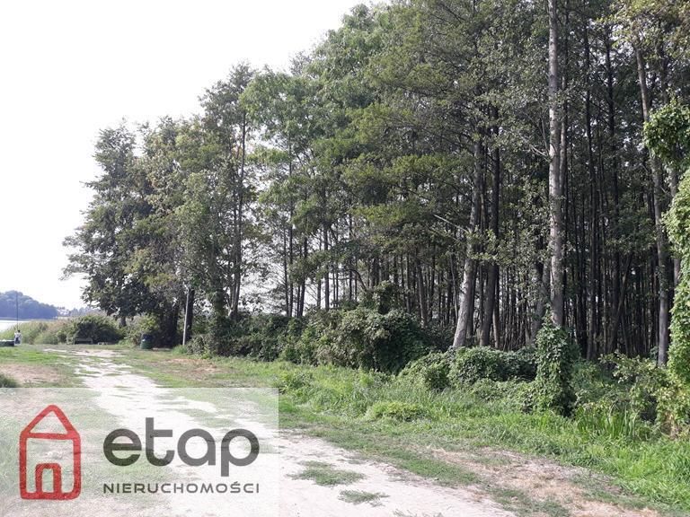 Działka budowlana Zborowo. Zdjęcie 10