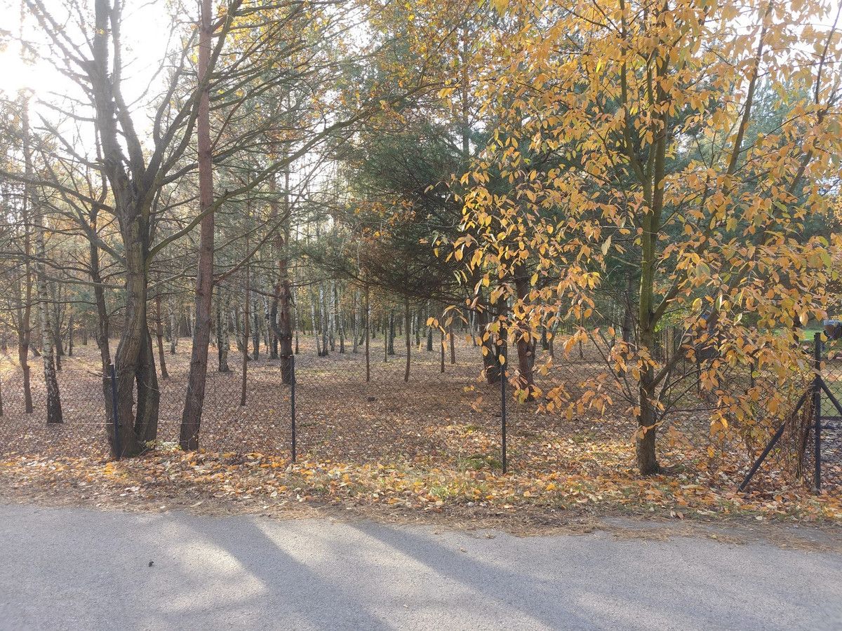 Działka budowlana Stare Skoszewy. Zdjęcie 6