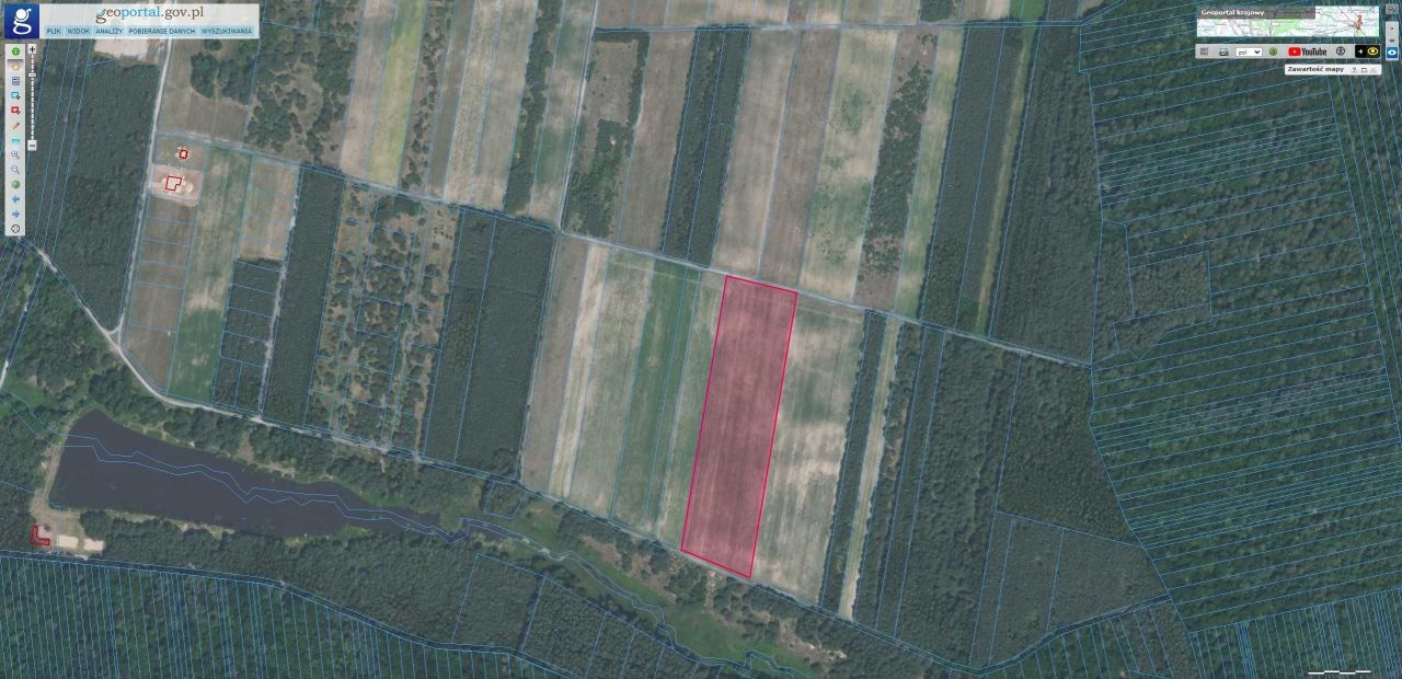 Działka rekreacyjna Pałecznica. Zdjęcie 3