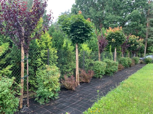 dom wolnostojący, 5 pokoi Warszawa Wawer, ul. Izbicka. Zdjęcie 20