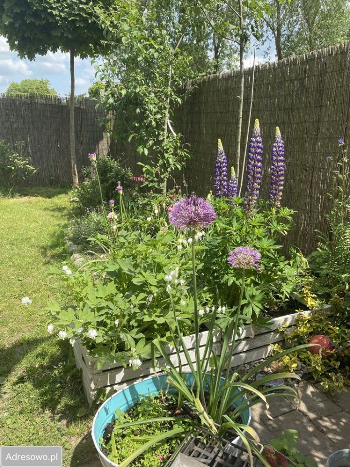 Mieszkanie 3-pokojowe Dachowa, ul. Tęczowa. Zdjęcie 3