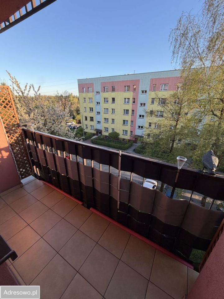 Mieszkanie 3-pokojowe Dąbrowa Górnicza Gołonóg, ul. Marcina Kasprzaka. Zdjęcie 19