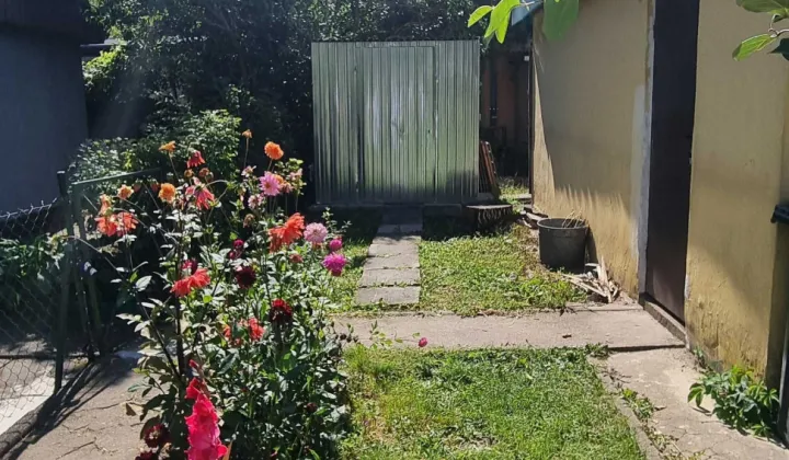 Działka rod Łódź Bałuty
