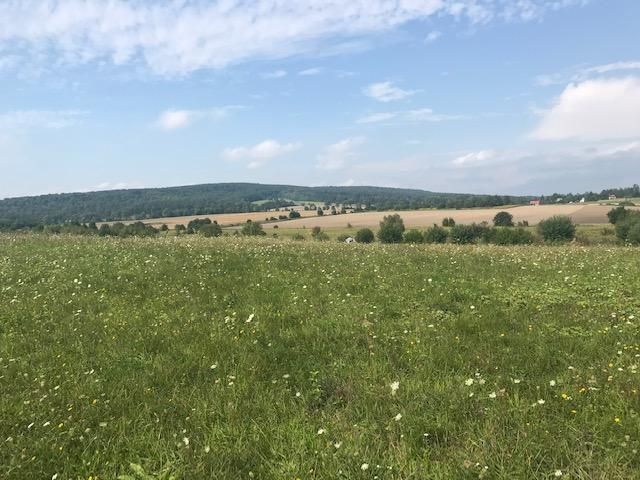 Działka budowlana Czerteż. Zdjęcie 5
