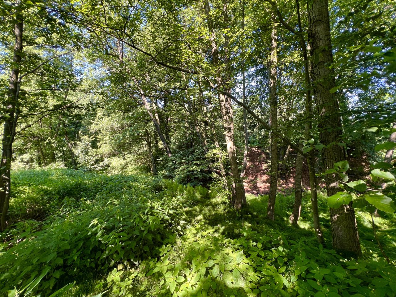 Działka rolno-budowlana Pszów, ul. Pszowska. Zdjęcie 6