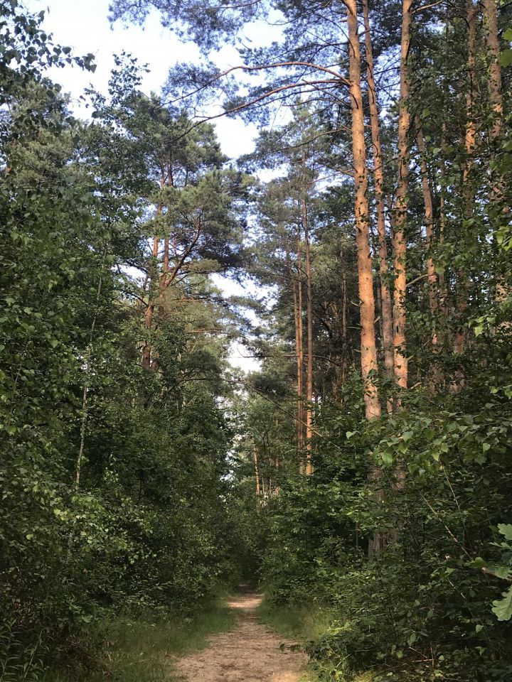 Działka rekreacyjna Jeziórko Ustanówek, ul. Dębowa. Zdjęcie 2