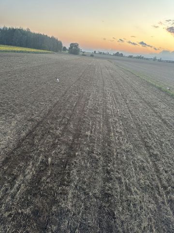 Działka rolna Klejniki. Zdjęcie 1