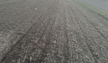 Działka rolna Klejniki