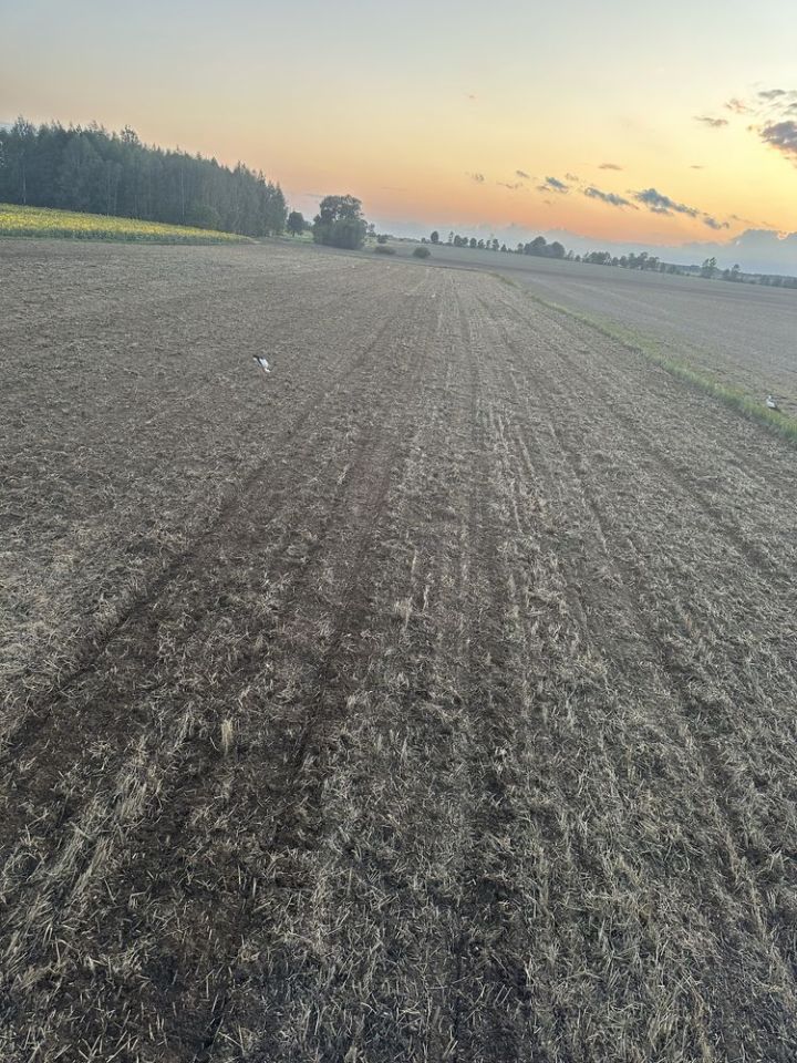 Działka rolna Klejniki