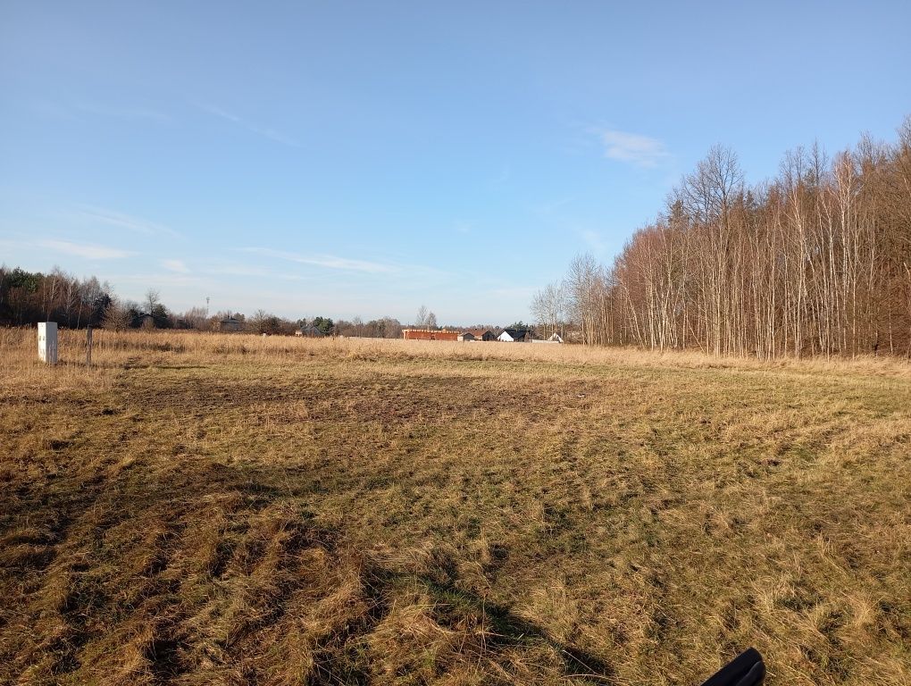 Działka budowlana Kolonia Poczesna. Zdjęcie 4