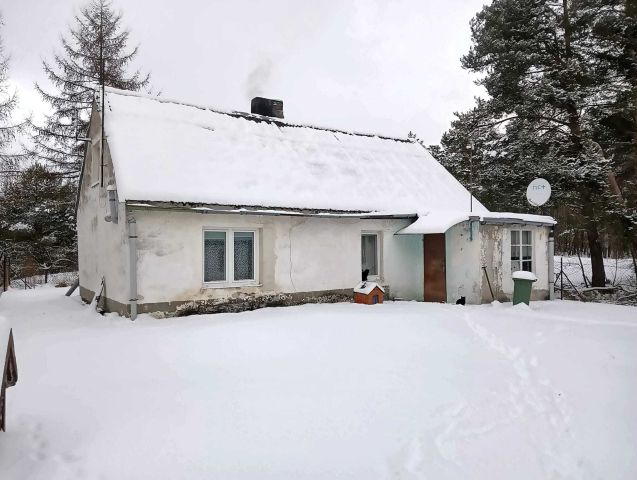 gospodarstwo Kurzejewo. Zdjęcie 1