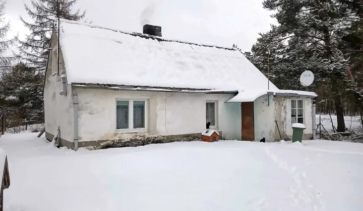 gospodarstwo Kurzejewo