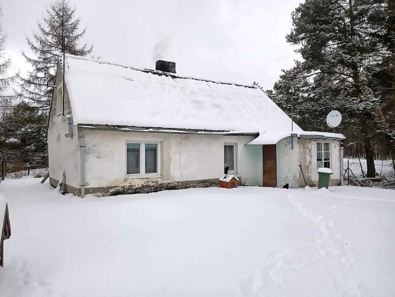 gospodarstwo Kurzejewo