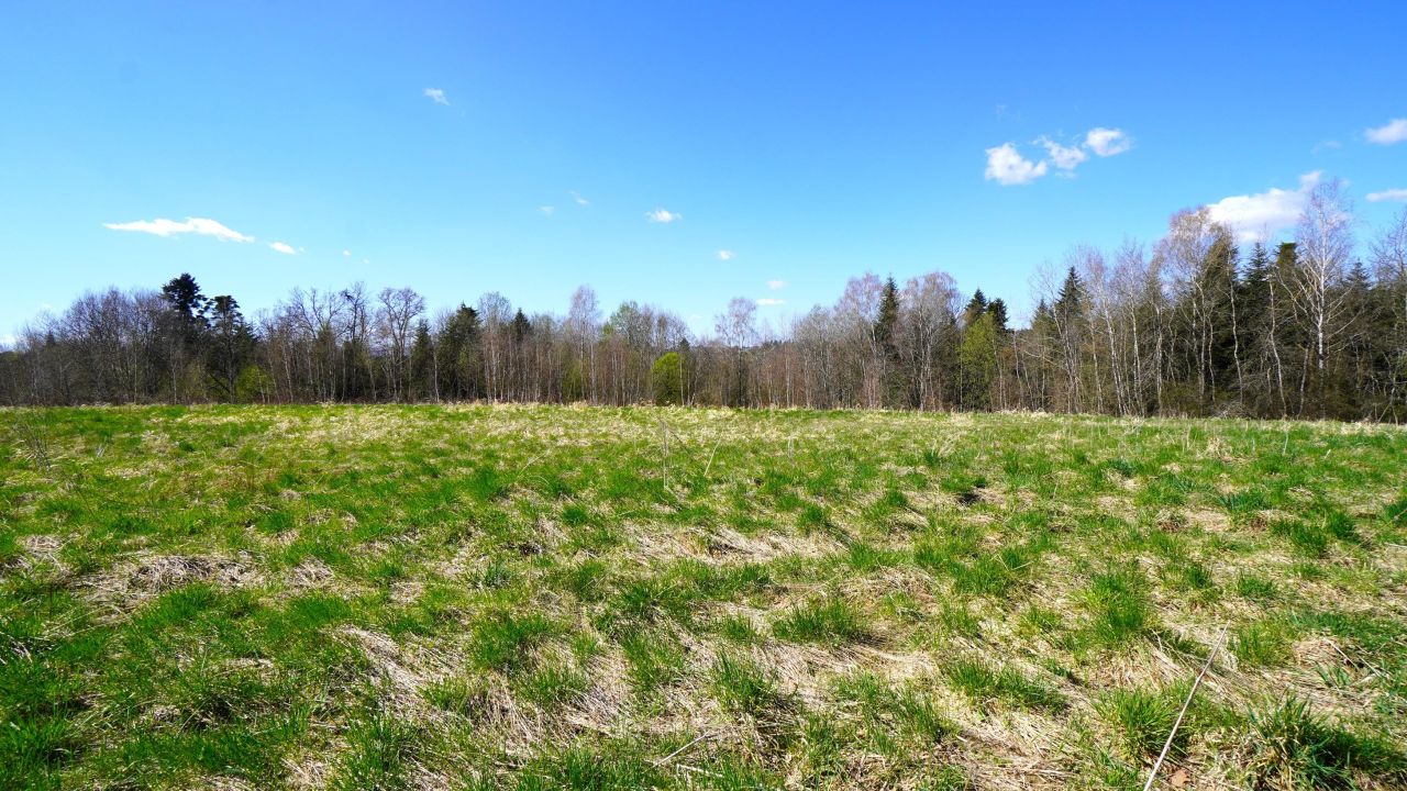 Działka rolno-budowlana Biecz. Zdjęcie 4