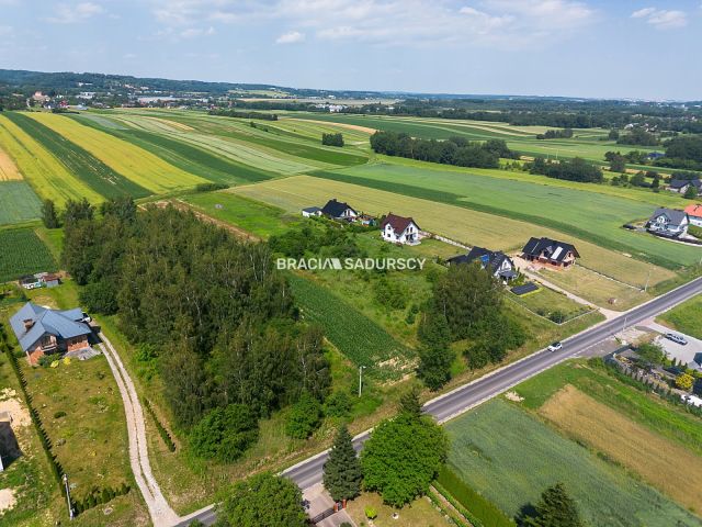 Działka inwestycyjna Cholerzyn. Zdjęcie 8