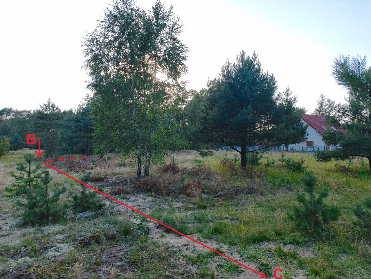 Działka budowlana Gutowiec, ul. Szkolna. Zdjęcie 6
