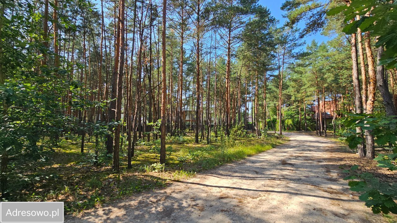 Działka budowlana Hornówek, ul. Jeżynowa. Zdjęcie 5