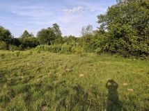 Działka siedliskowa Dęba. Zdjęcie 4