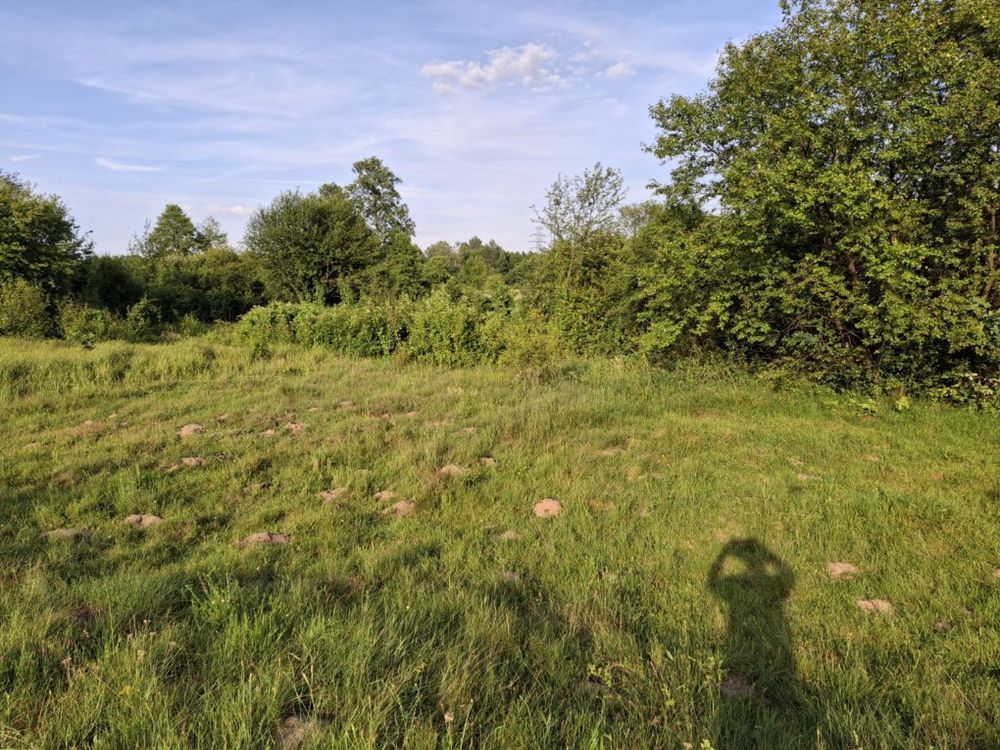 Działka siedliskowa Dęba. Zdjęcie 5