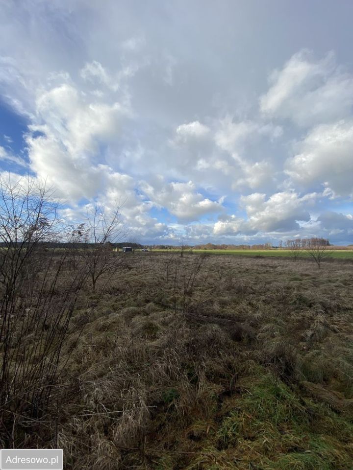 Działka budowlana Modzele-Bartłomieje. Zdjęcie 5