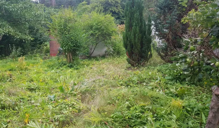Działka rod Gdańsk Oliwa, ul. Kwietna