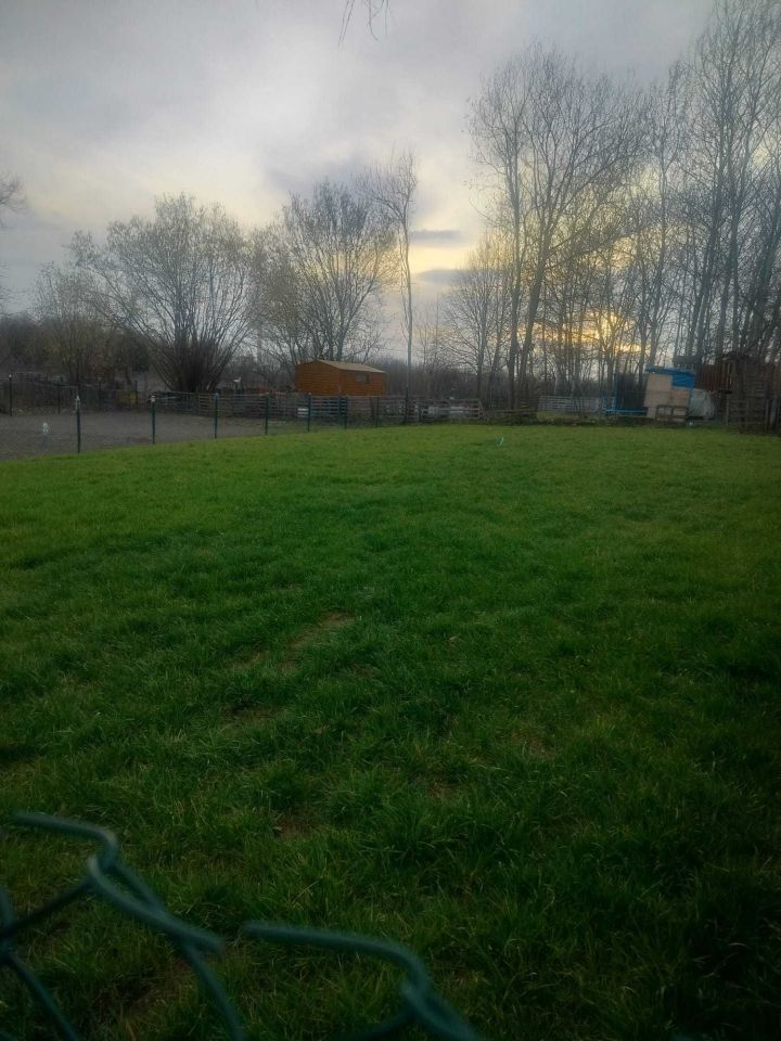 Działka rod Czeladź. Zdjęcie 4