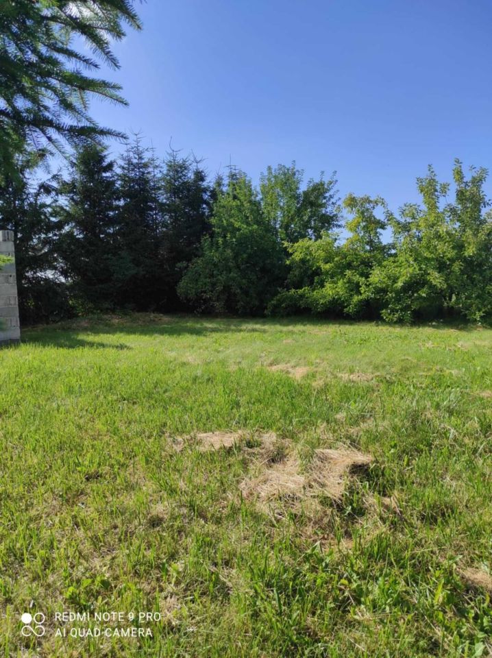 Działka rolna Rekowo. Zdjęcie 8