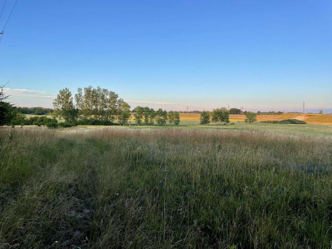 Działka rolna Stare Bielice. Zdjęcie 5