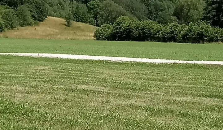 Działka budowlana Wilkanów