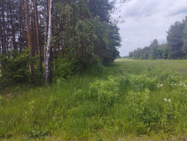 Działka budowlana Zaręby. Zdjęcie 8