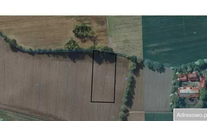 Działka rolna Wola Wadowska