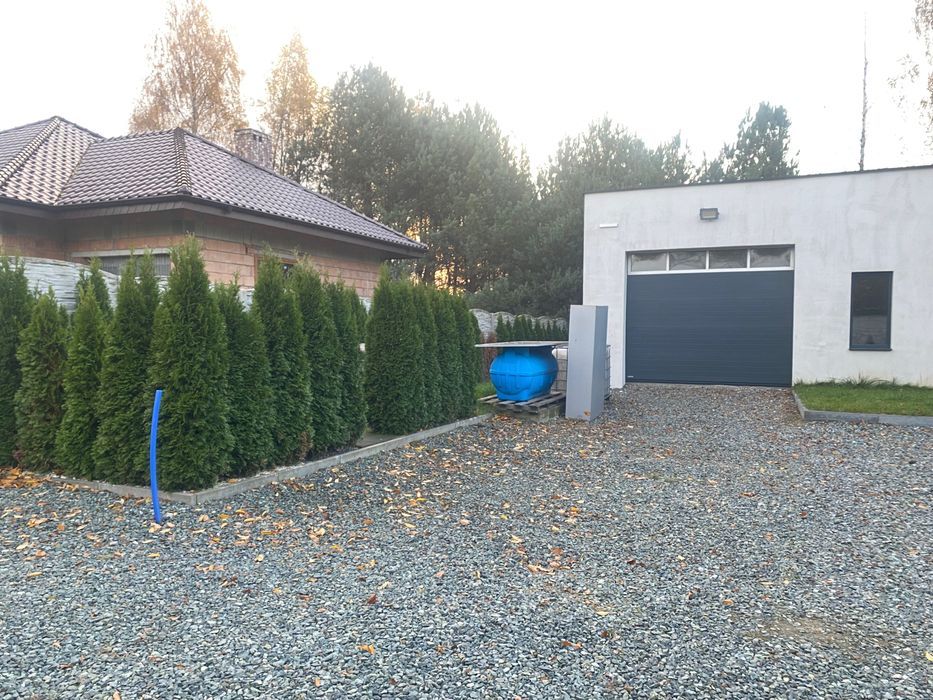 Działka inwestycyjna Borek Wielkopolski. Zdjęcie 3