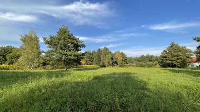 Działka budowlana Łoś, ul. Spółdzielcza. Zdjęcie 18