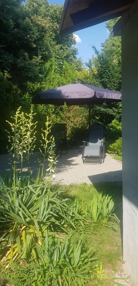 Działka rod Zabrze Biskupice, ul. Ogrodowa. Zdjęcie 10