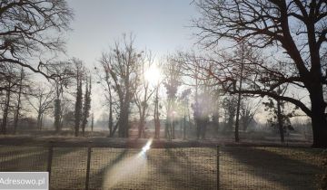 Mieszkanie 3-pokojowe Środa Śląska