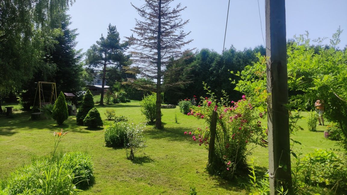 Działka budowlana Niechobrz. Zdjęcie 6