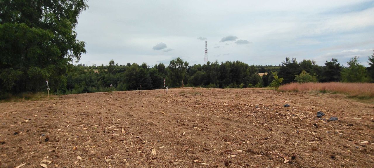 Działka budowlana Donimierz. Zdjęcie 2