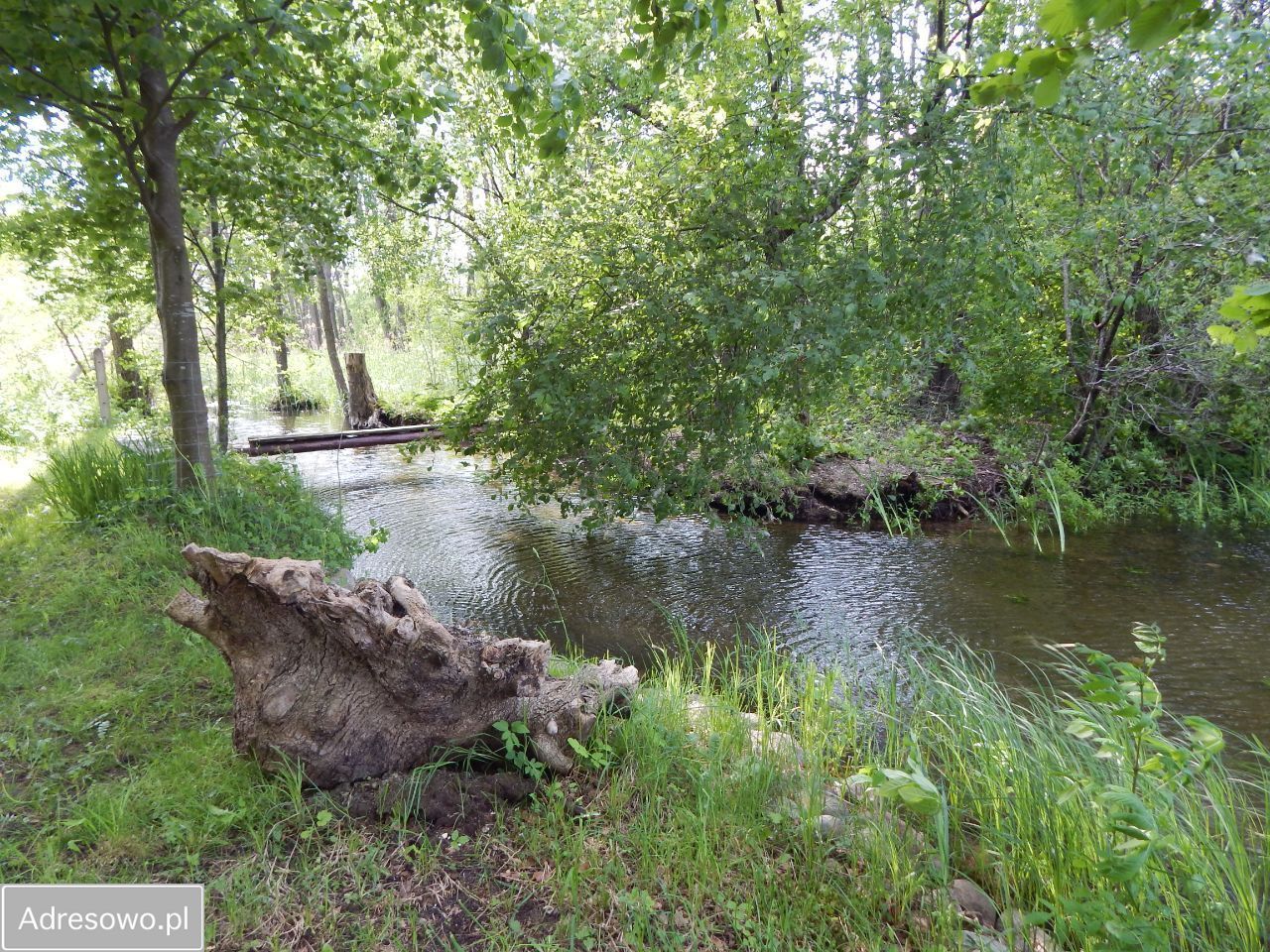 dom wolnostojący, 5 pokoi Płociczno, ul. Żurawia. Zdjęcie 7