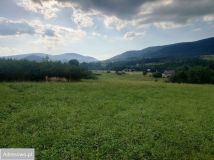 Działka budowlana Przenosza. Zdjęcie 1