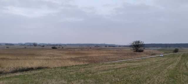 Działka siedliskowa Stężyca-Kolonia. Zdjęcie 3