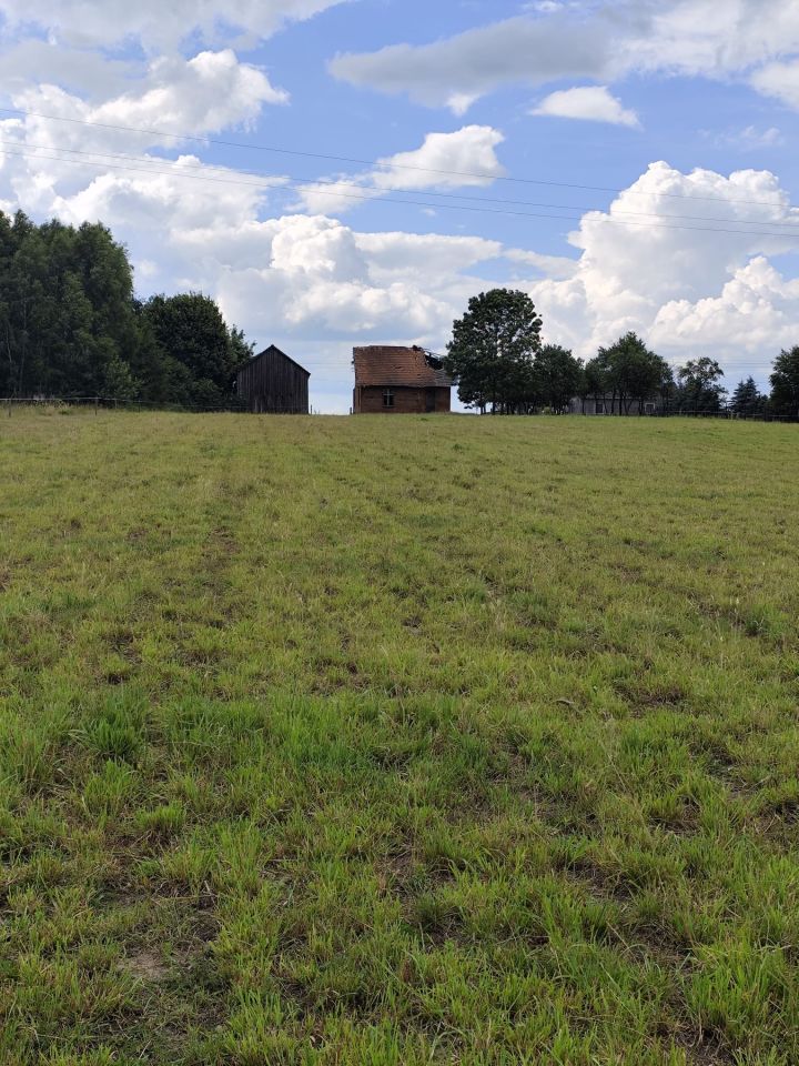 Działka siedliskowa Kęsza. Zdjęcie 5