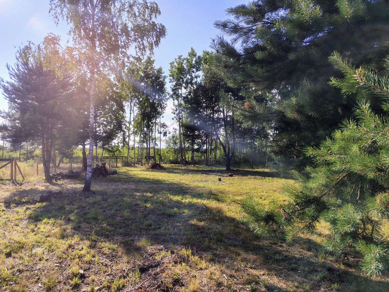 Działka budowlana Marylka, ul. Dębowa. Zdjęcie 10