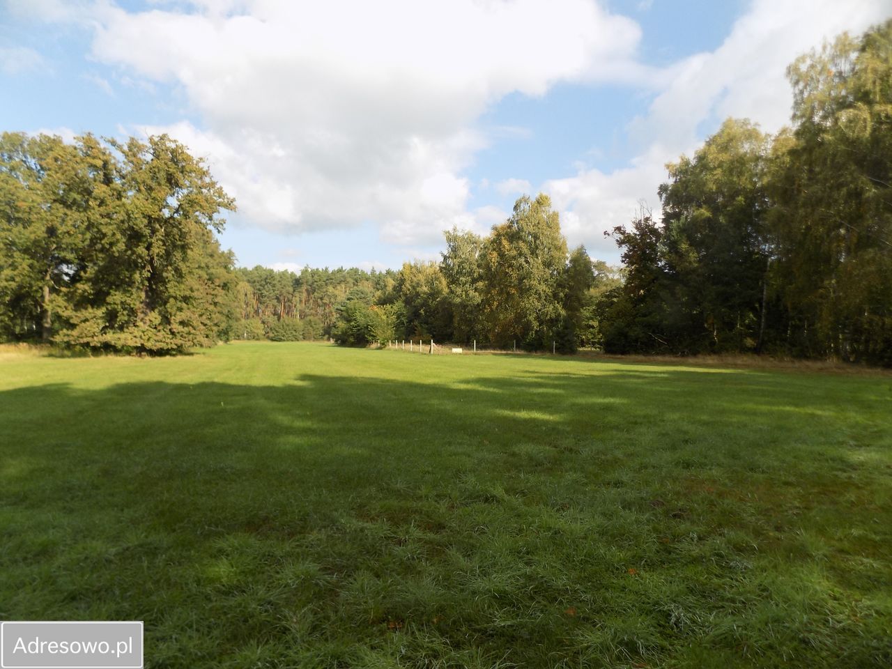 Działka siedliskowa Piękocin. Zdjęcie 2