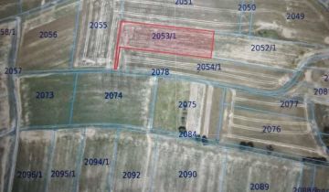 Działka rolna Rybna