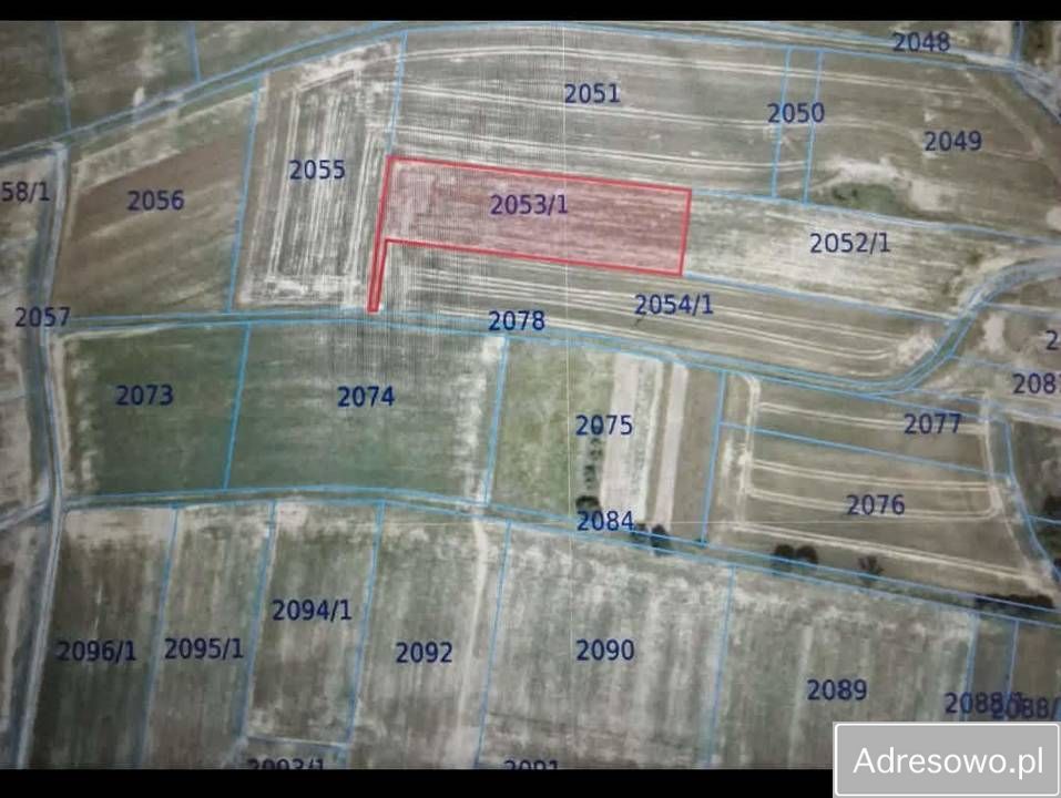 Działka rolna Rybna