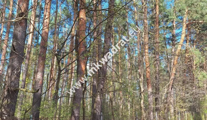 Działka budowlana Strzeniówka