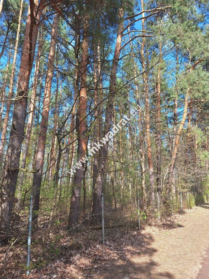 Działka budowlana Strzeniówka. Zdjęcie 1