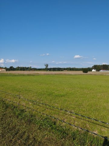 Działka budowlana Zagruszany. Zdjęcie 1