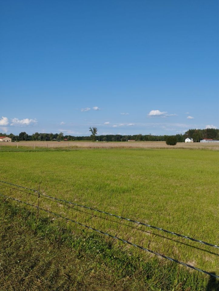 Działka budowlana Zagruszany. Zdjęcie 1
